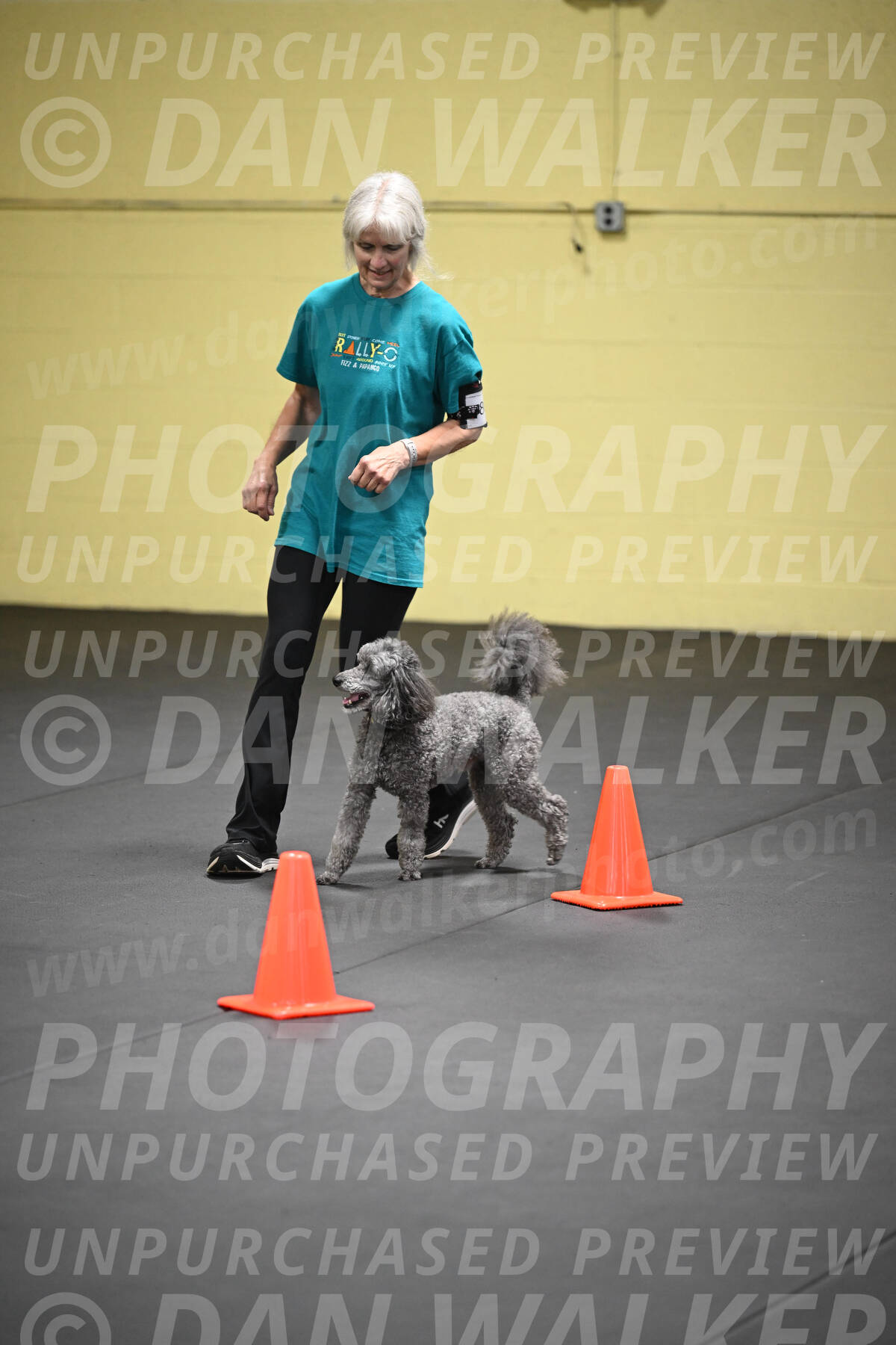 SAT803_0131