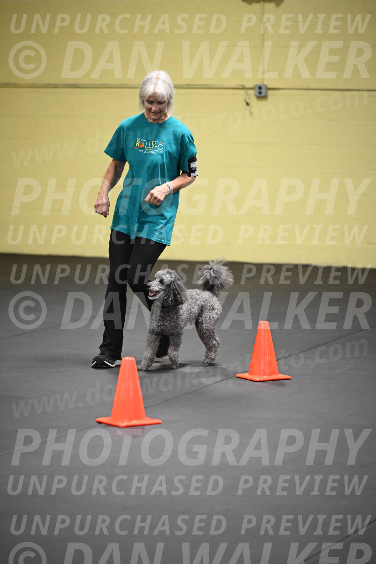 SAT803_0132