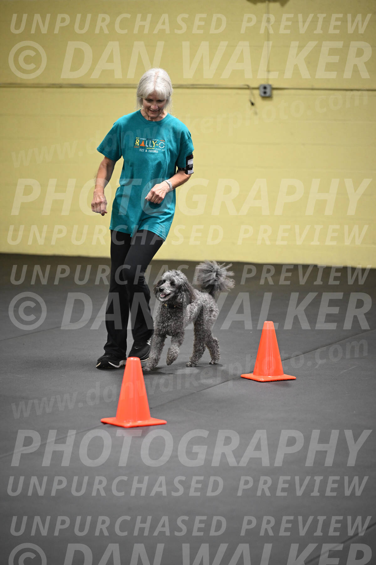 SAT803_0133