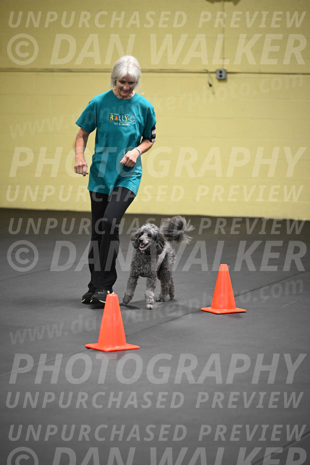 SAT803_0134