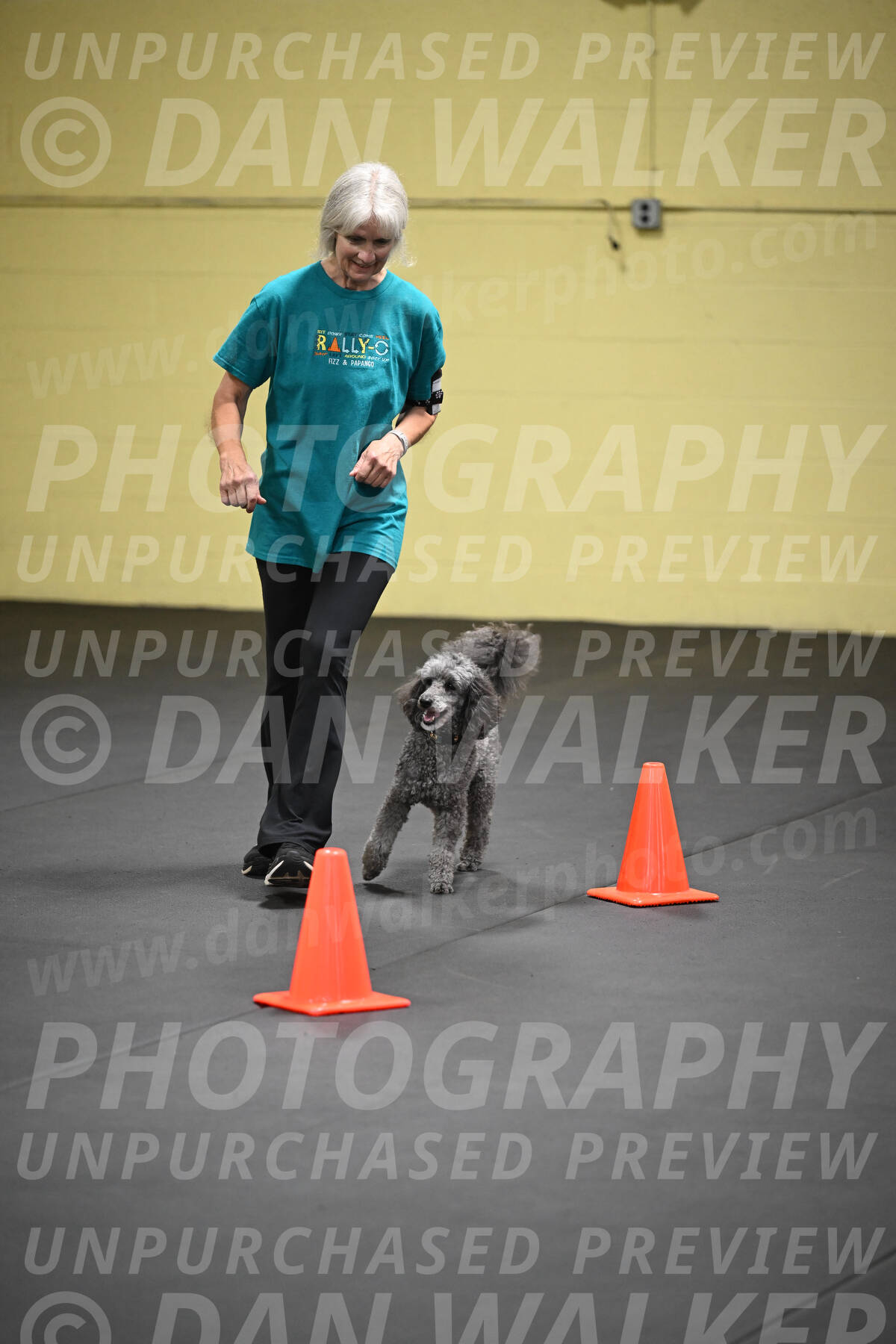 SAT803_0135