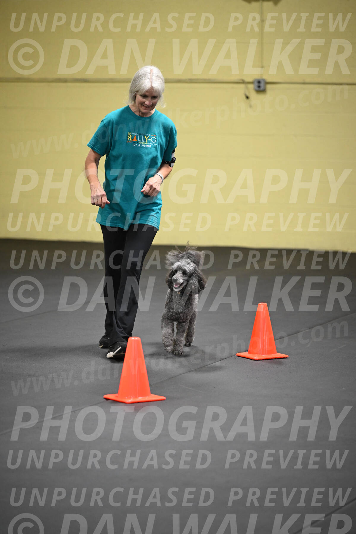SAT803_0136