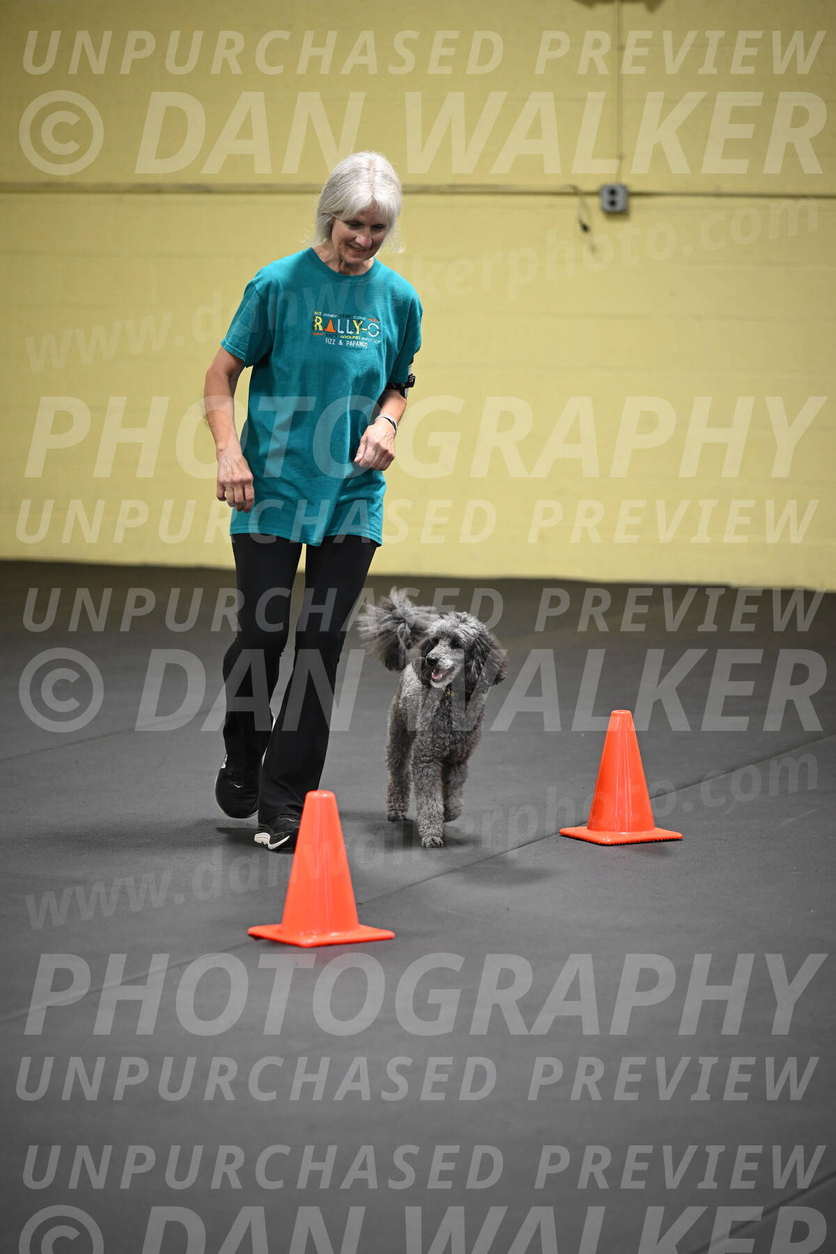 SAT803_0138