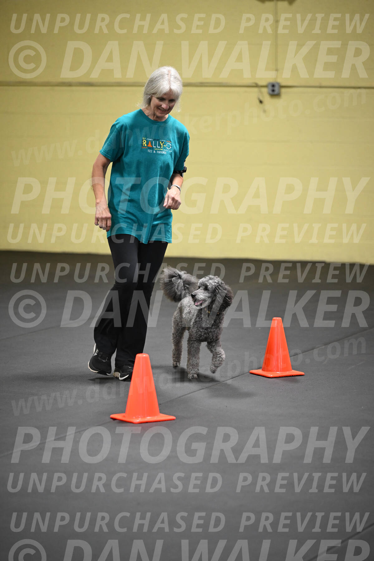 SAT803_0139