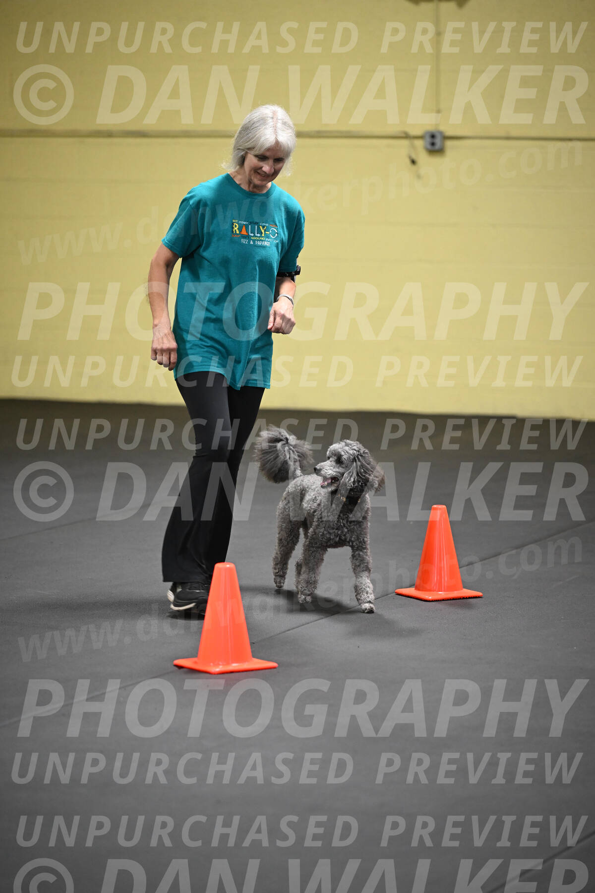SAT803_0140