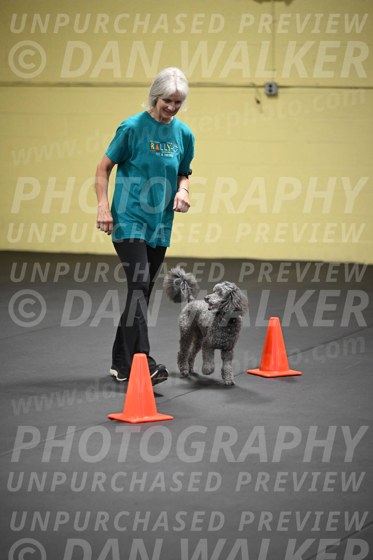 SAT803_0141
