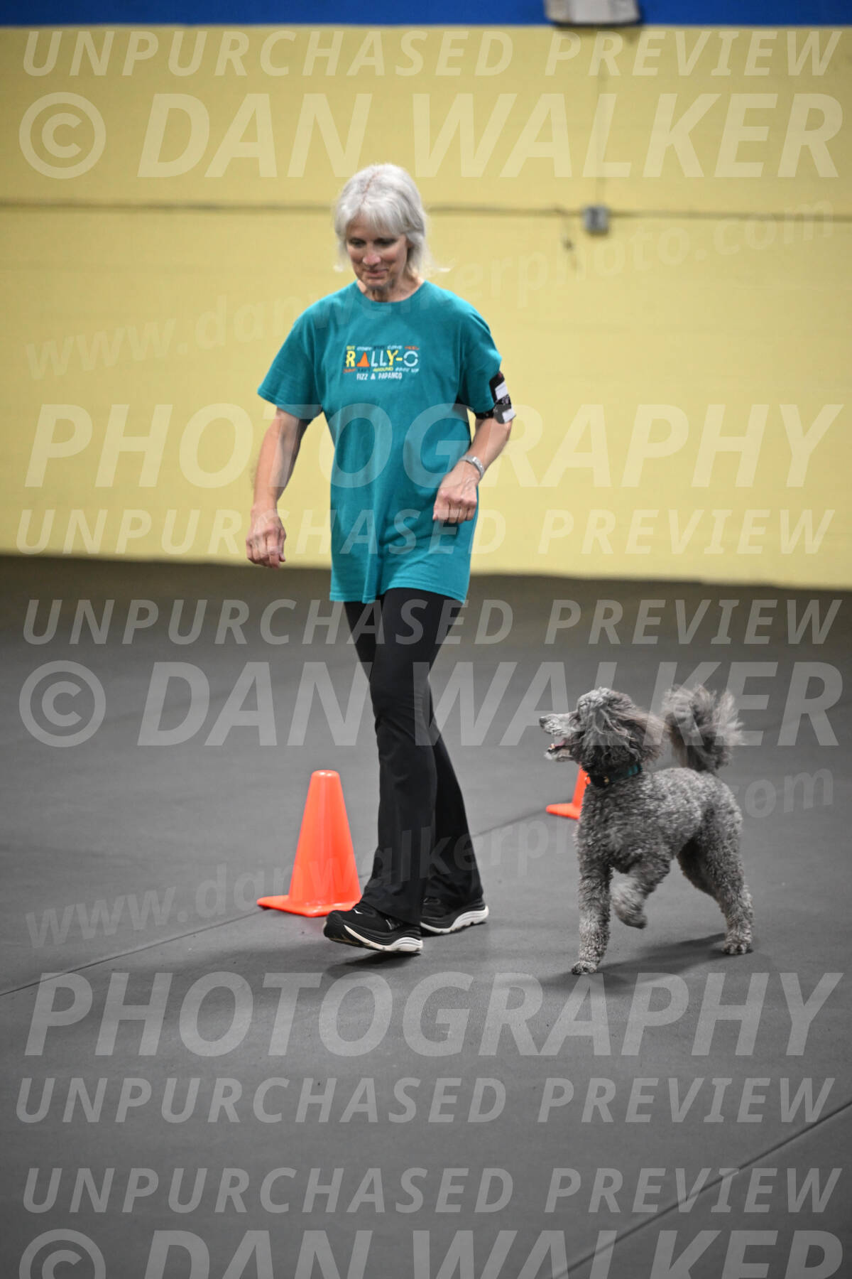 SAT803_0146