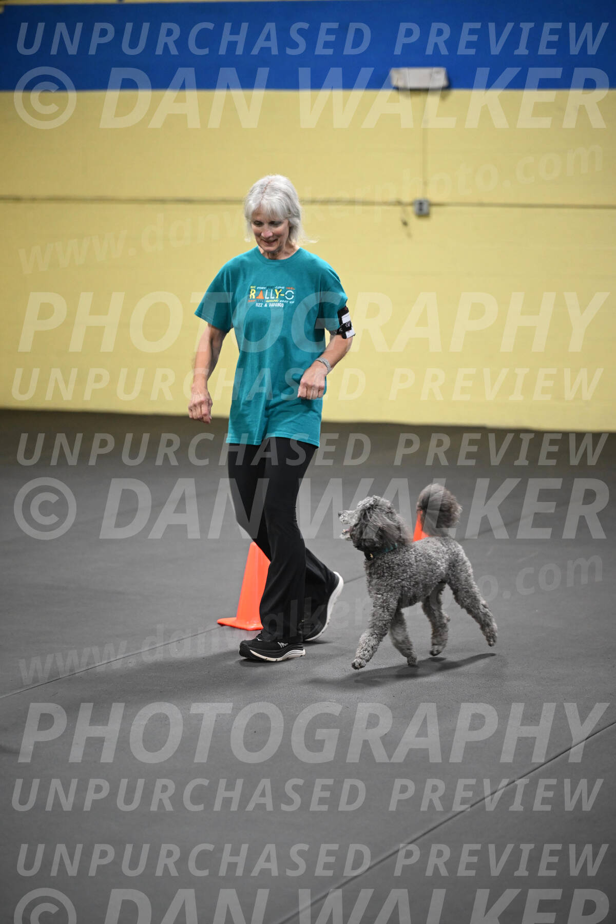 SAT803_0148
