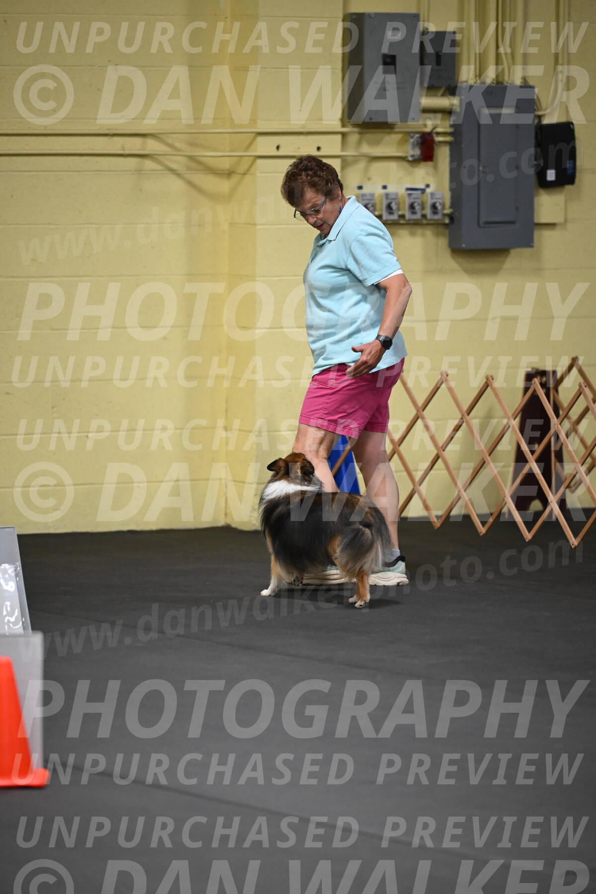 SAT804_0009