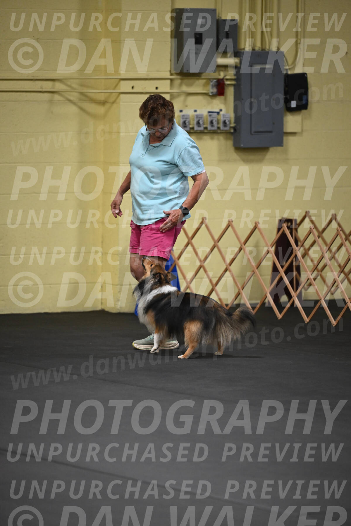 SAT804_0013