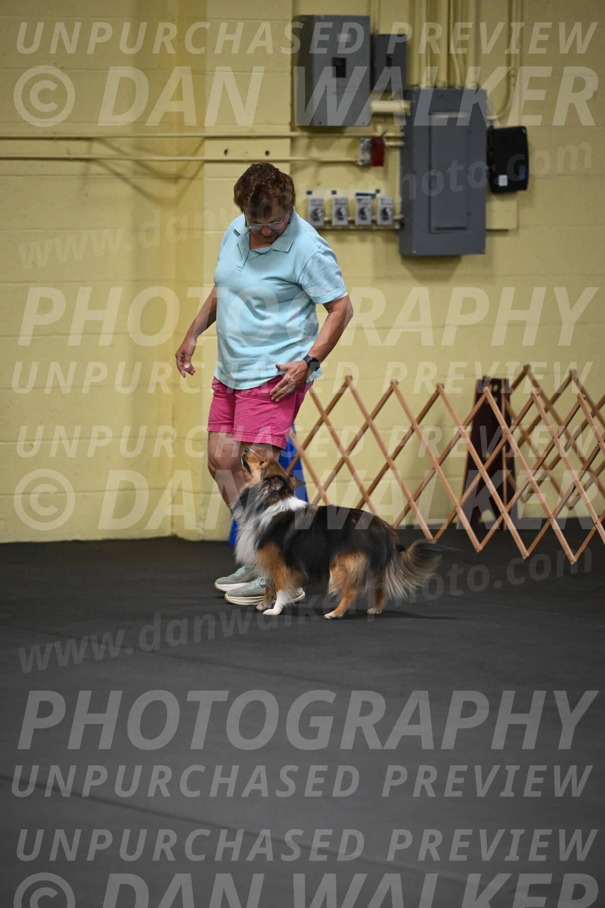 SAT804_0014