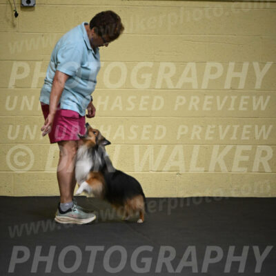 SAT804_0031