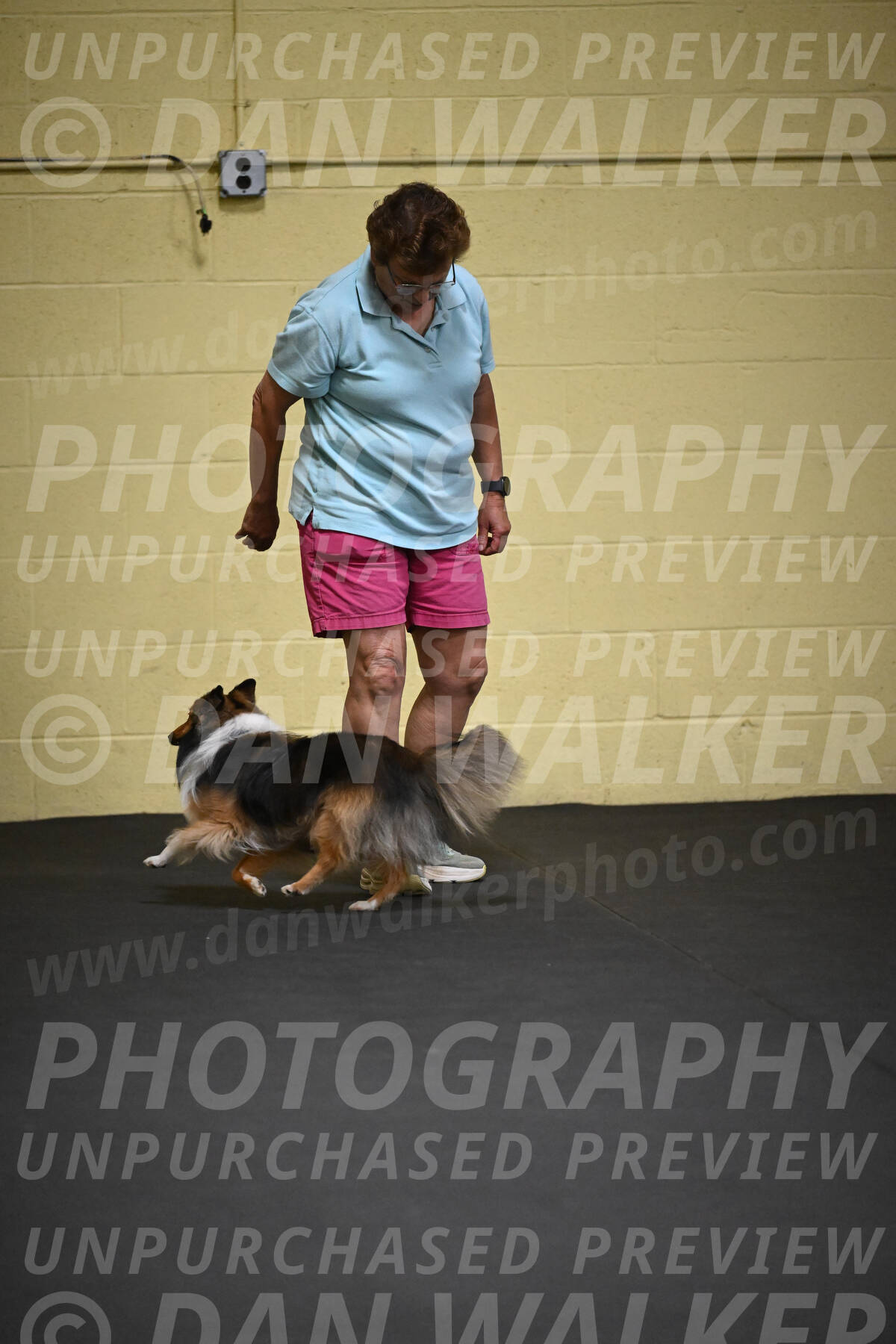 SAT804_0035