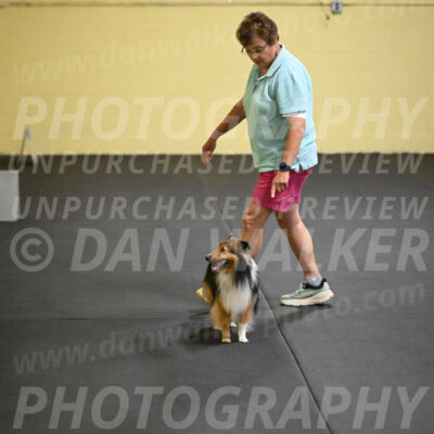 SAT804_0077