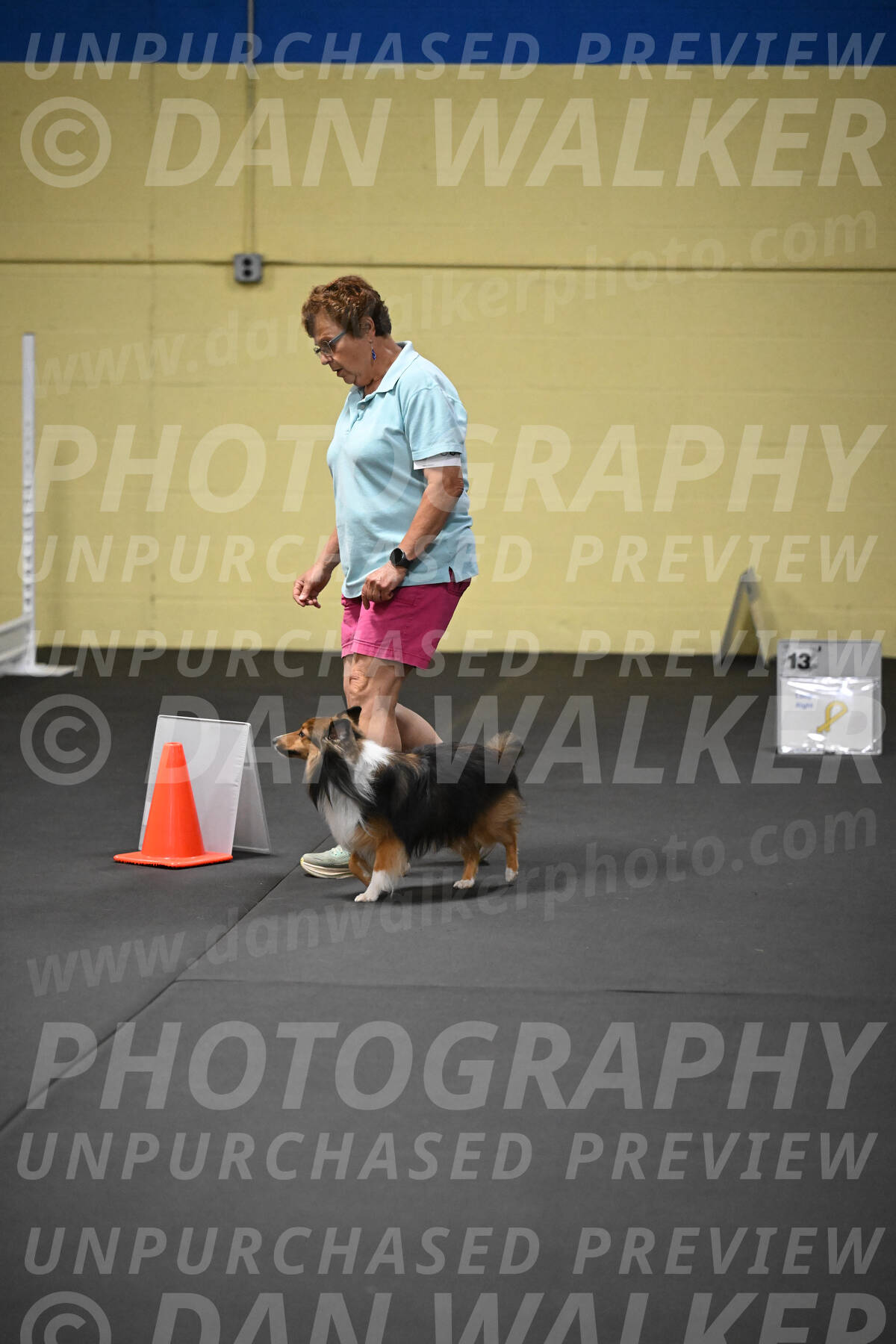 SAT804_0113