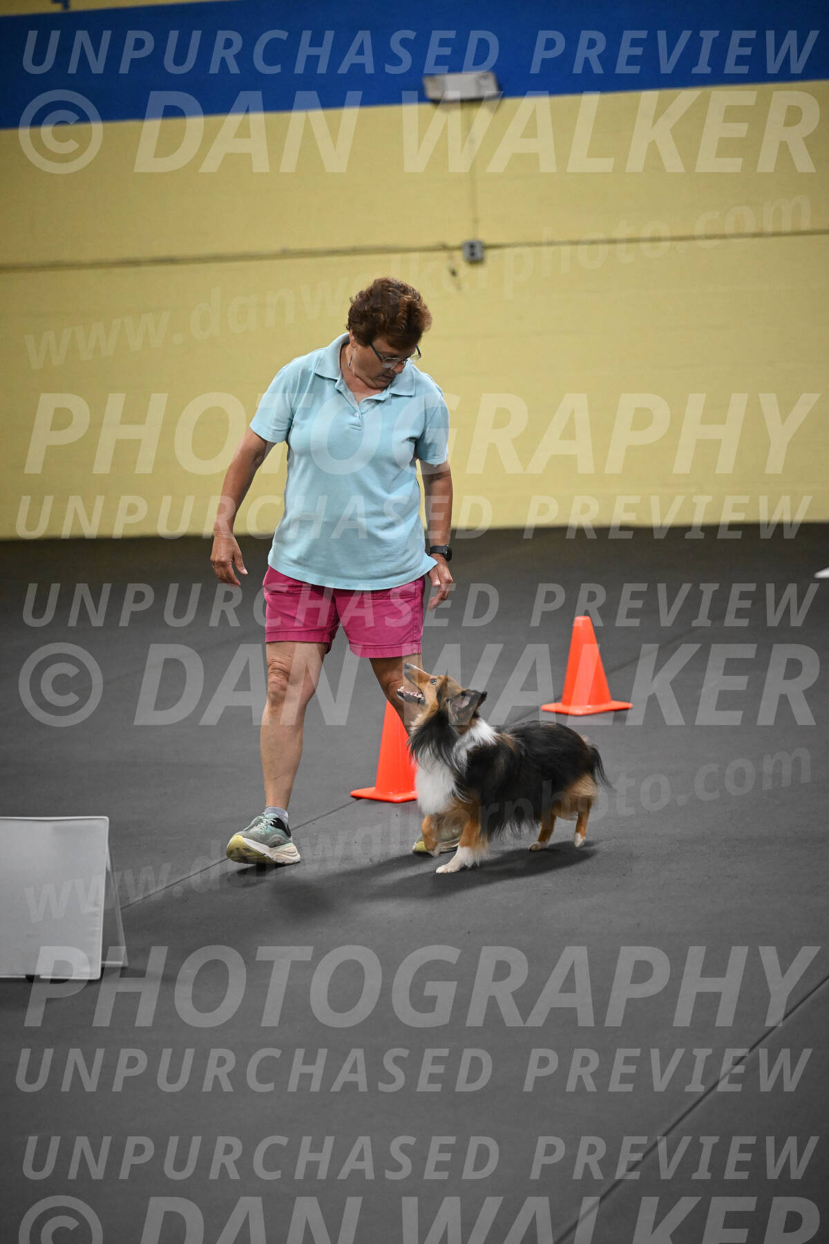 SAT804_0136