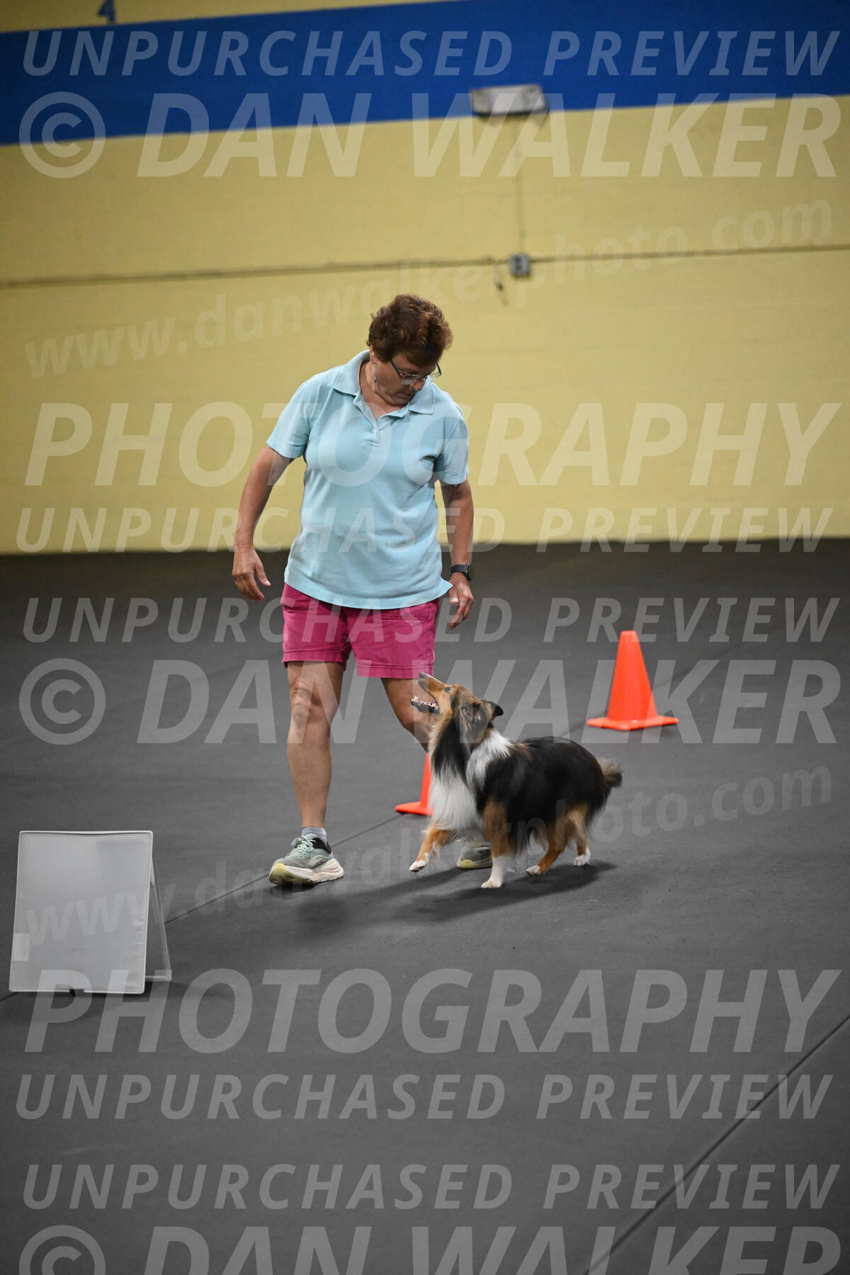 SAT804_0137