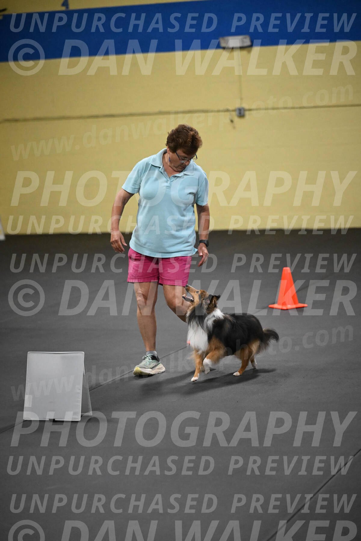 SAT804_0138