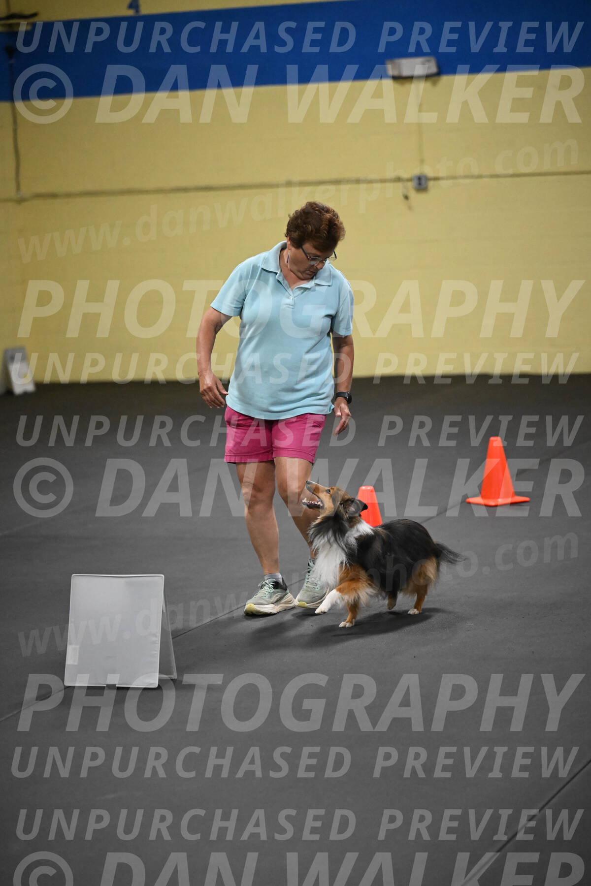 SAT804_0139