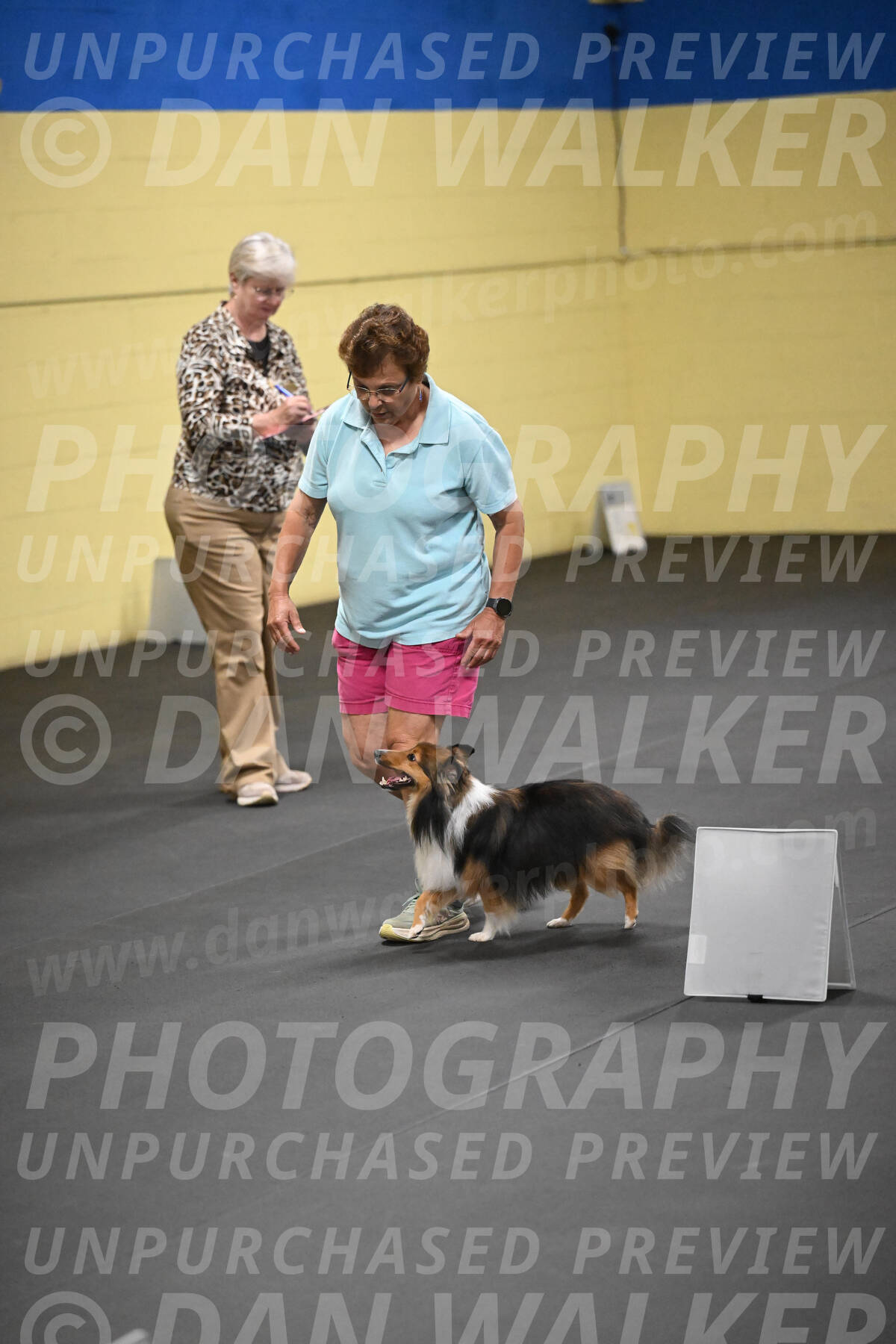 SAT804_0143