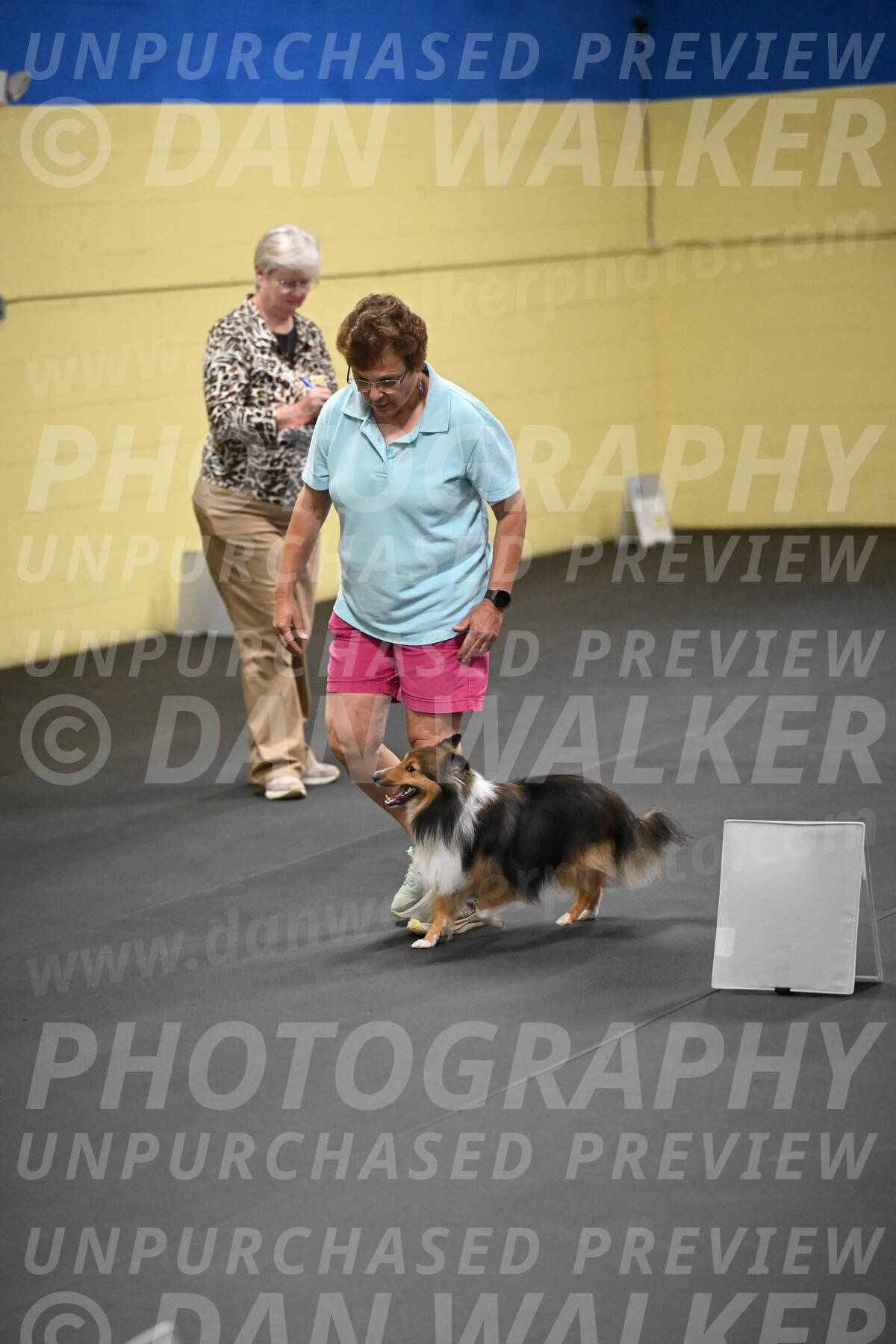 SAT804_0144