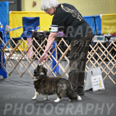 SAT806_0015
