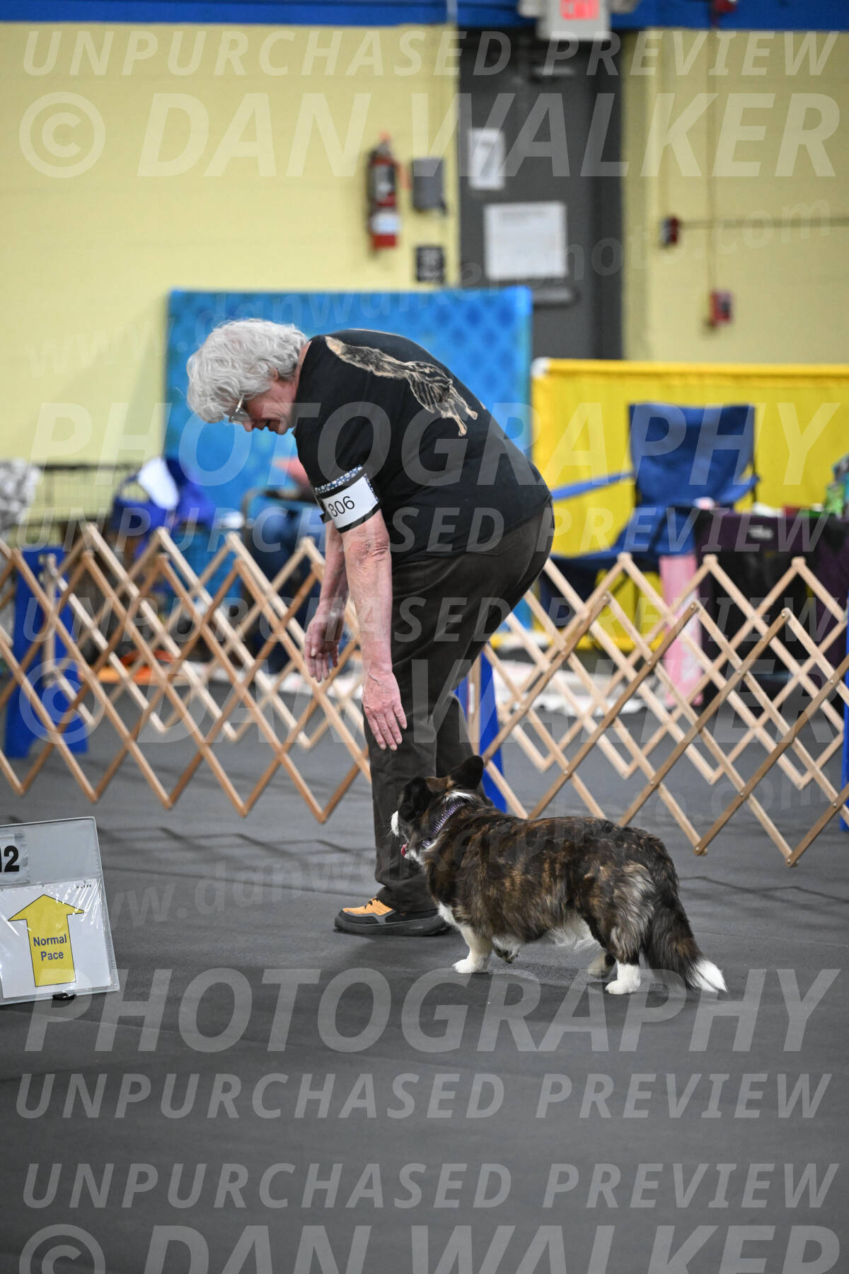 SAT806_0019