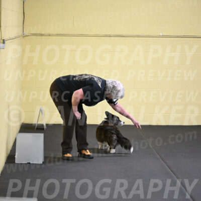 SAT806_0068