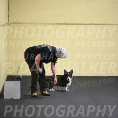 SAT806_0071