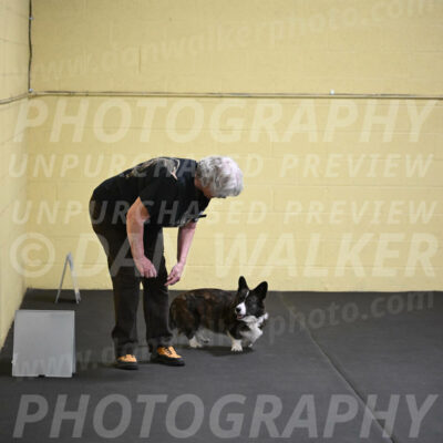 SAT806_0073
