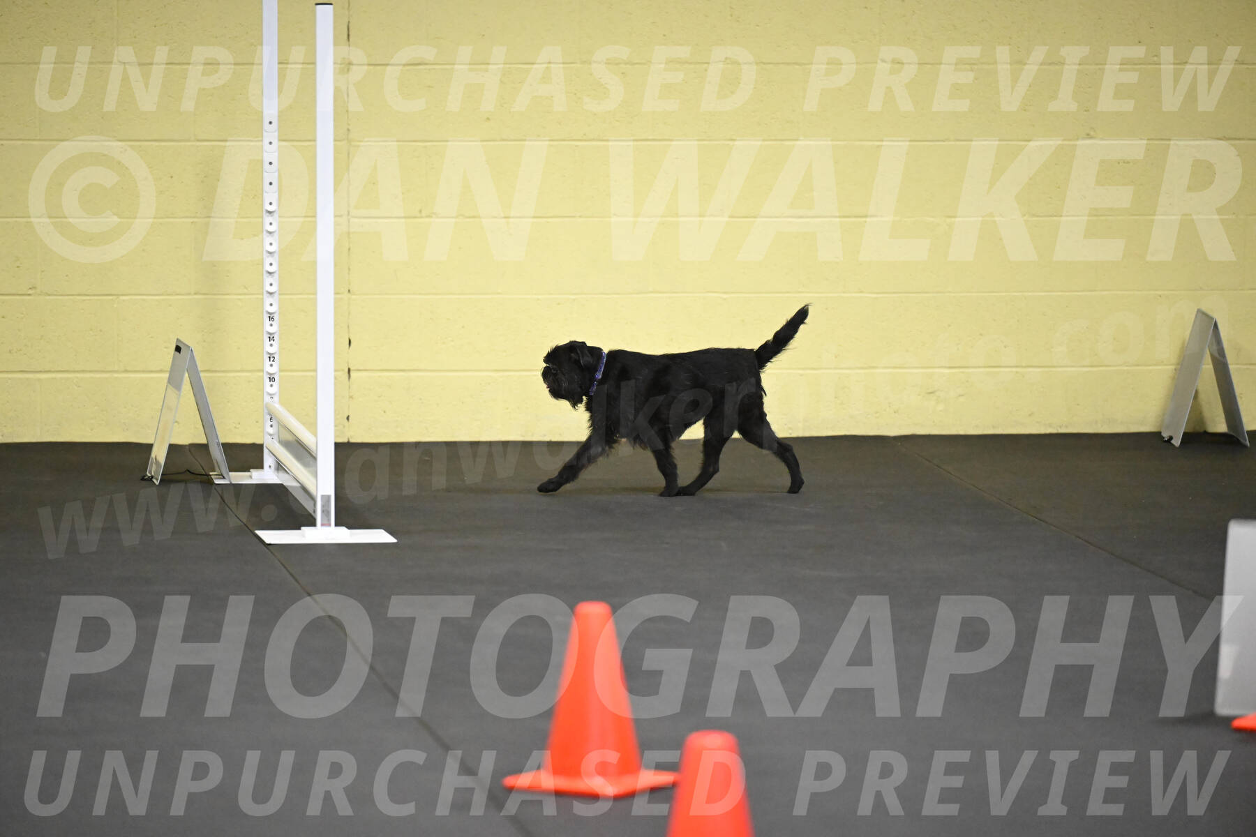 SAT806_0157