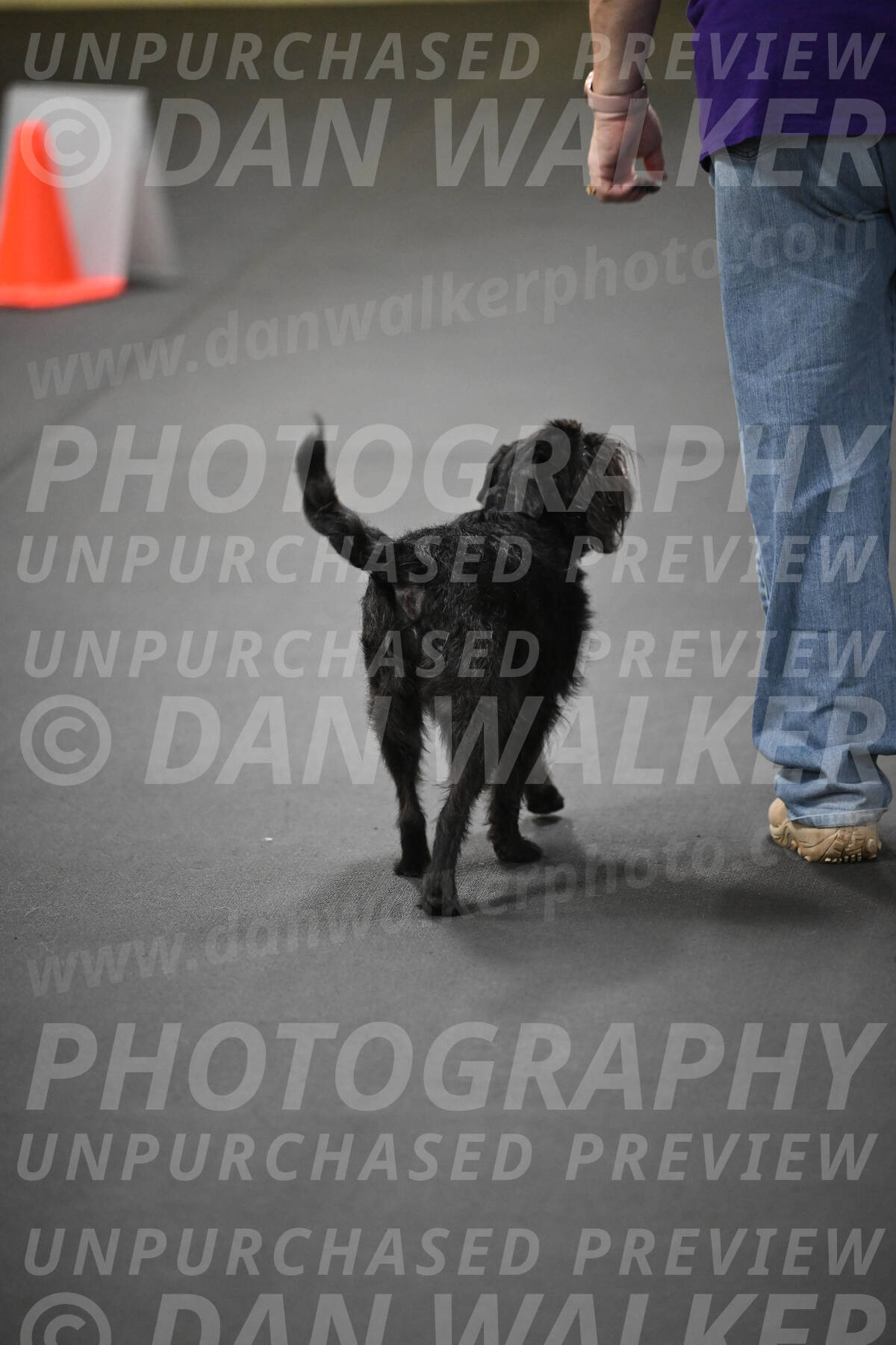 SAT806_0255