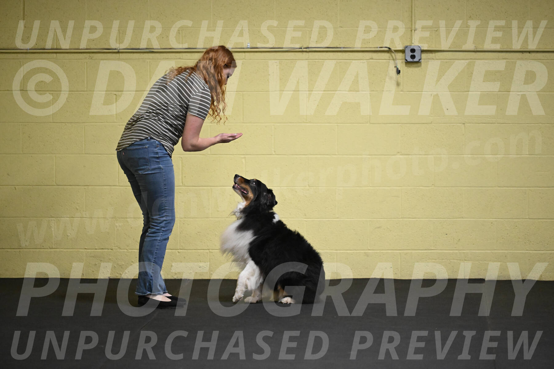 SAT807_0037