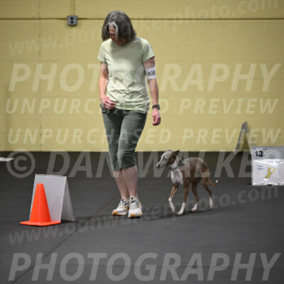 SAT808_0097