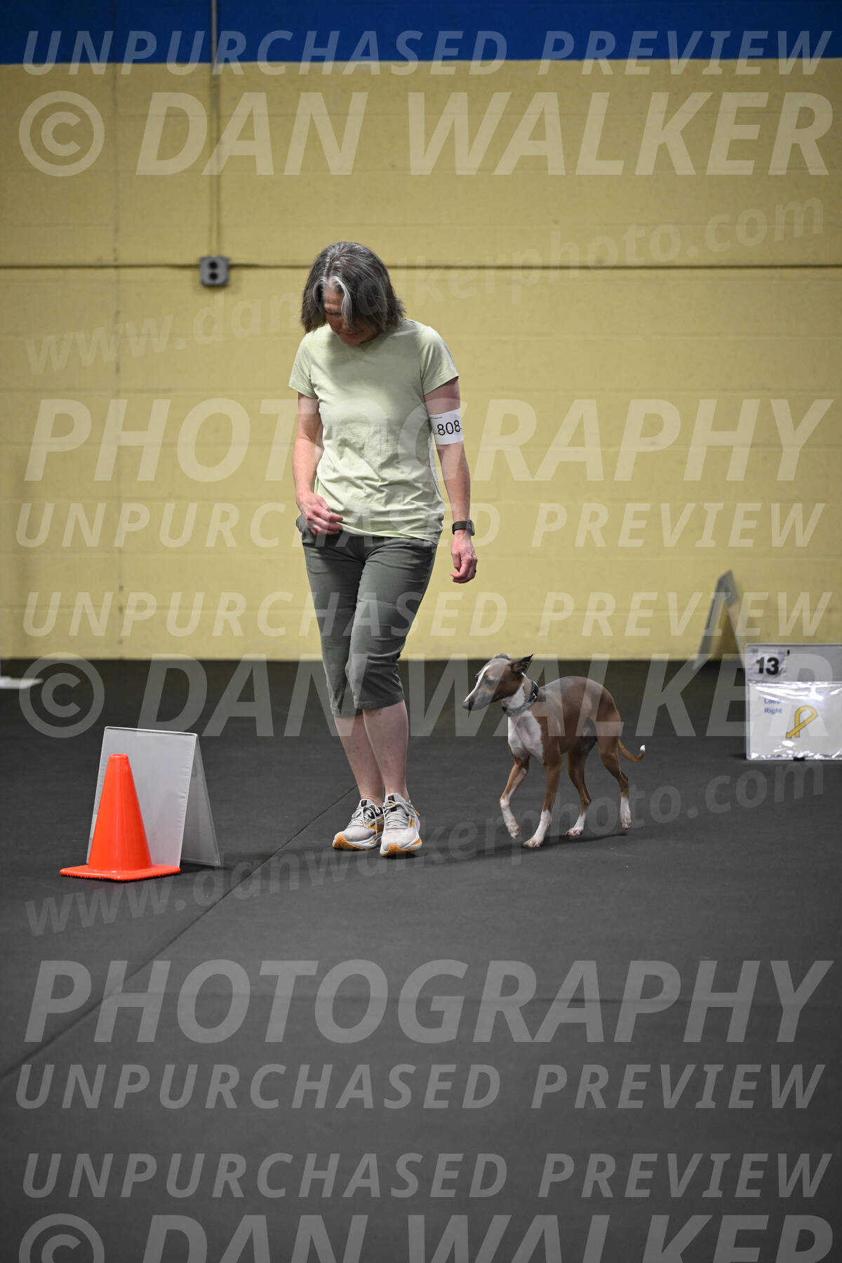SAT808_0097