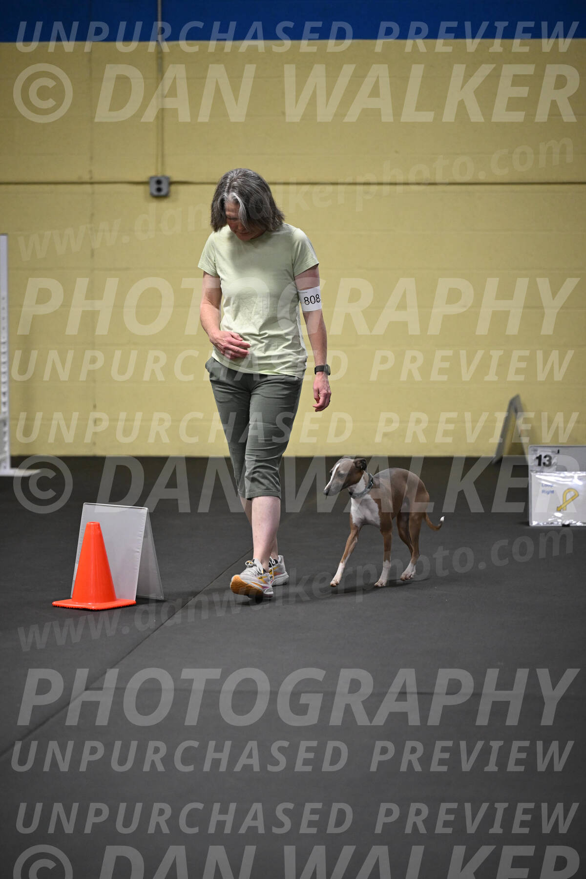 SAT808_0098