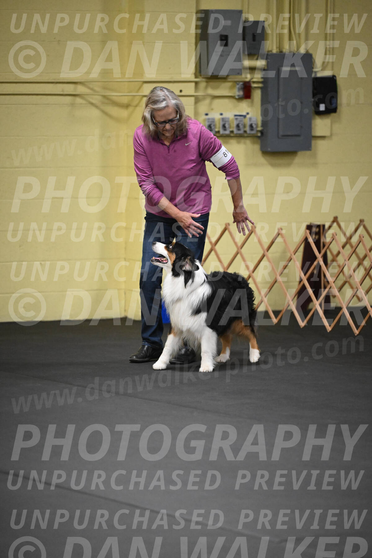 SAT810_0014