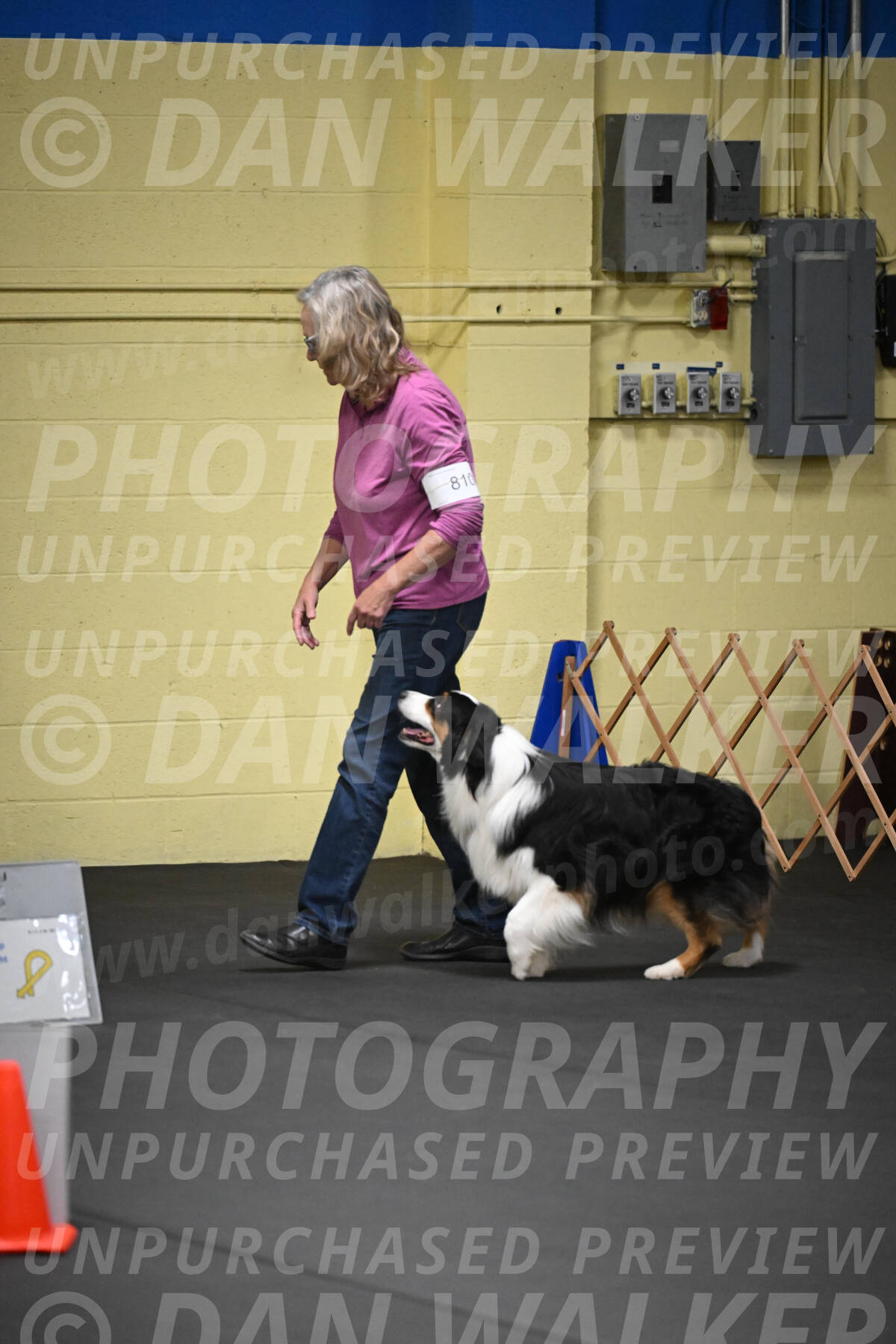 SAT810_0020