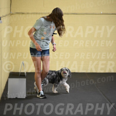 SAT811_0079