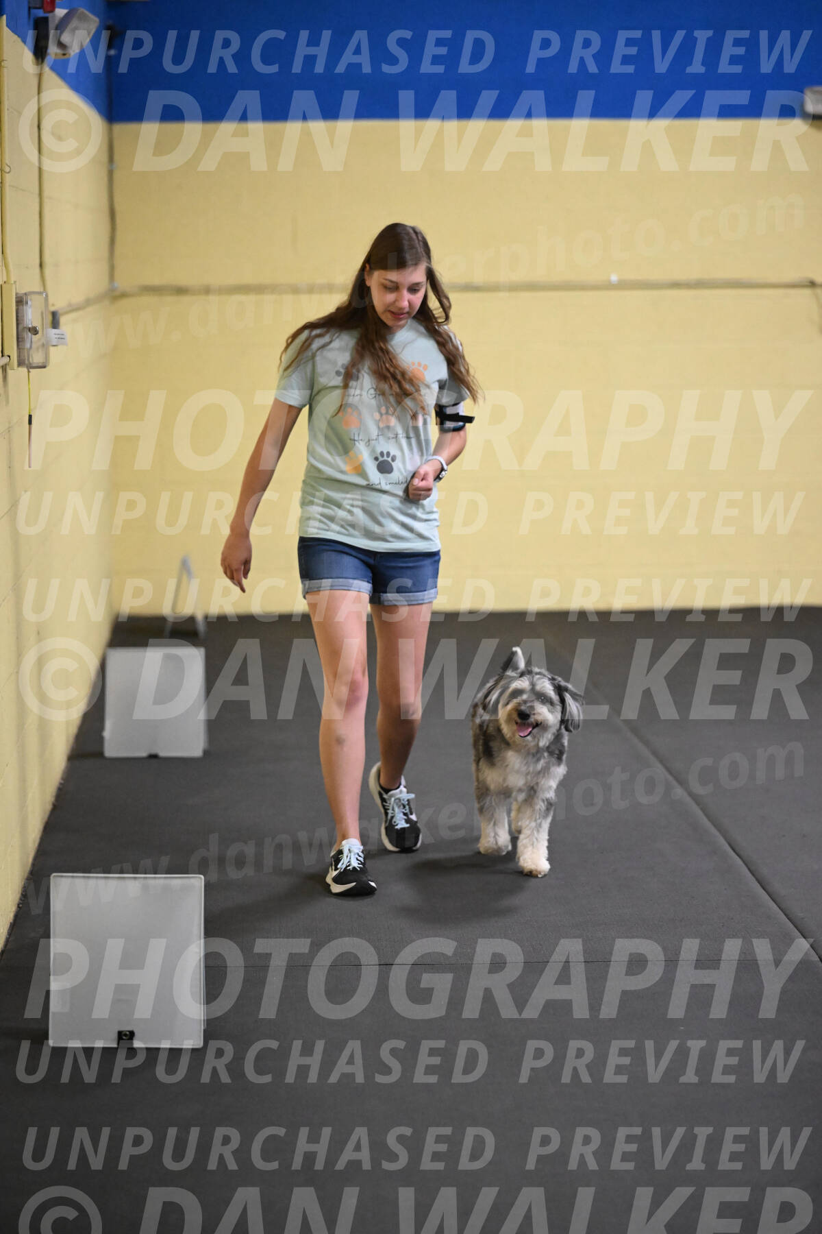 SAT811_0089