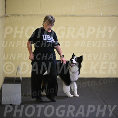 SAT812_0091