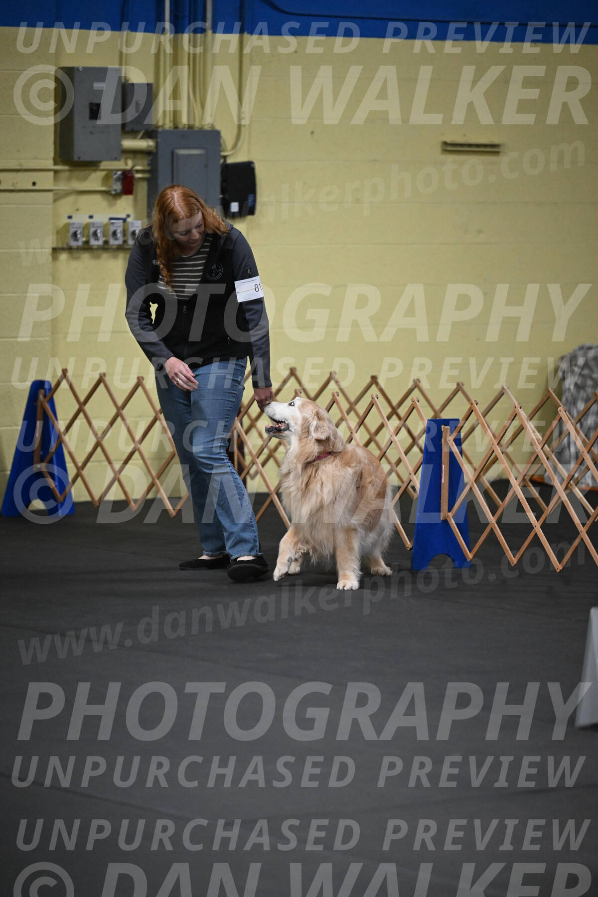 SAT813_0033