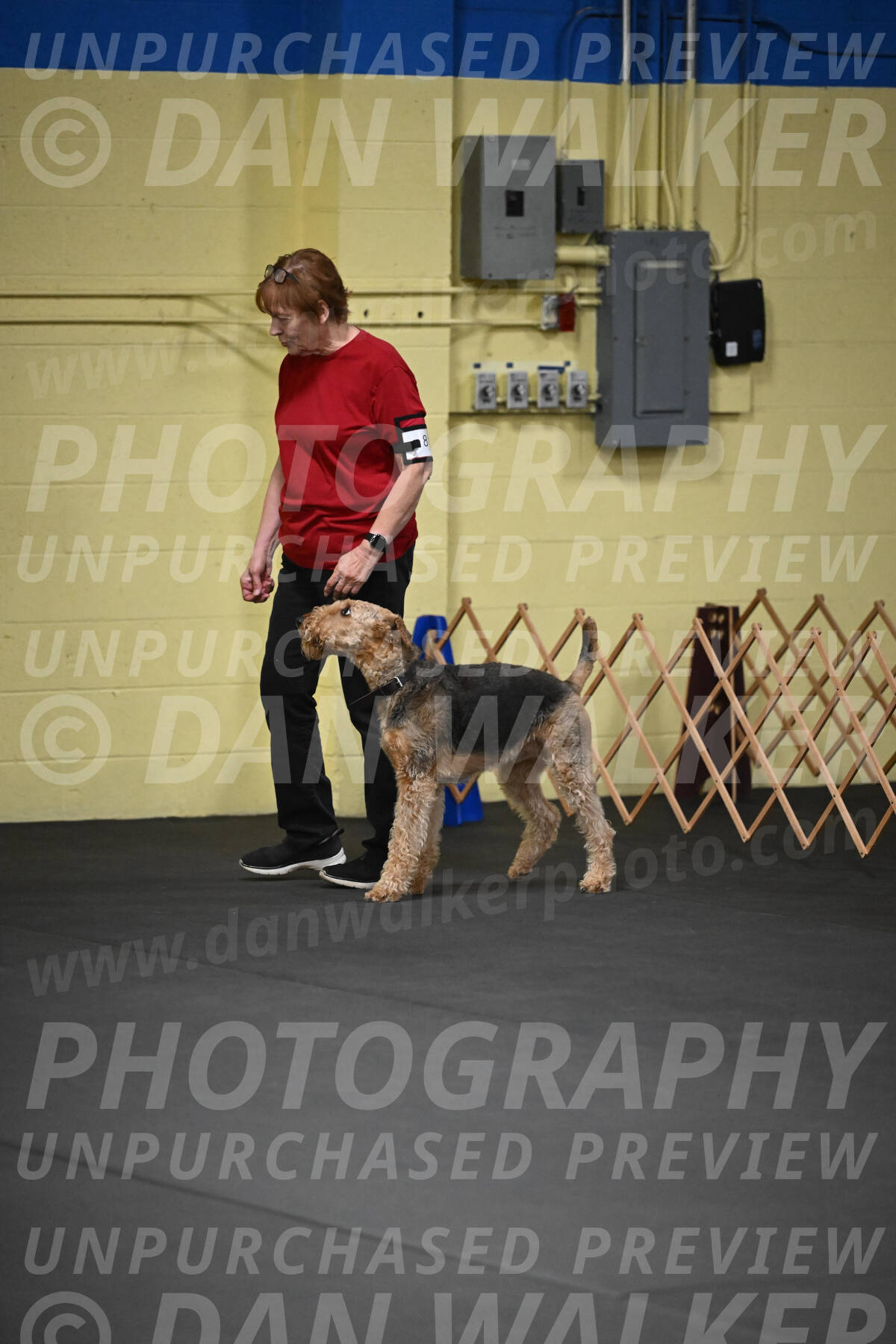 SAT815_0020