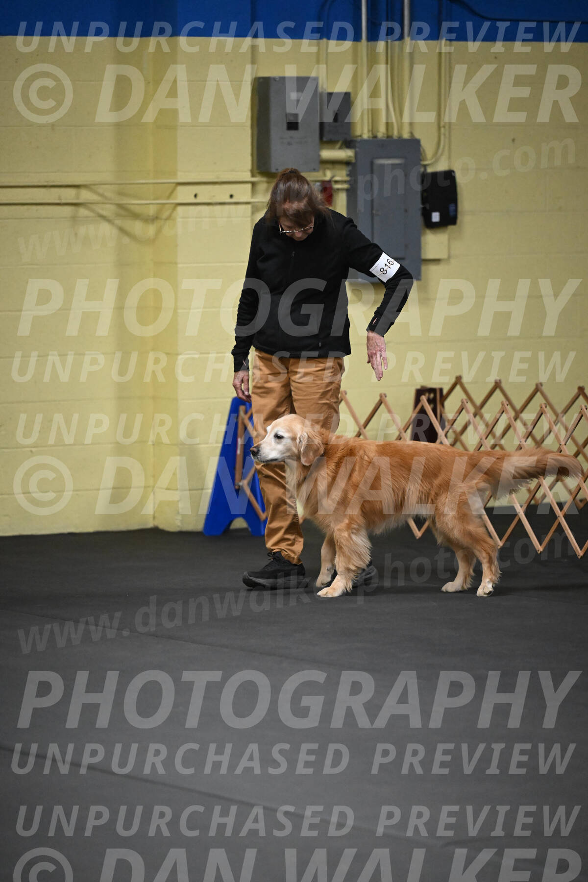 SAT816_0026