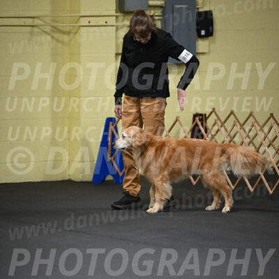 SAT816_0028