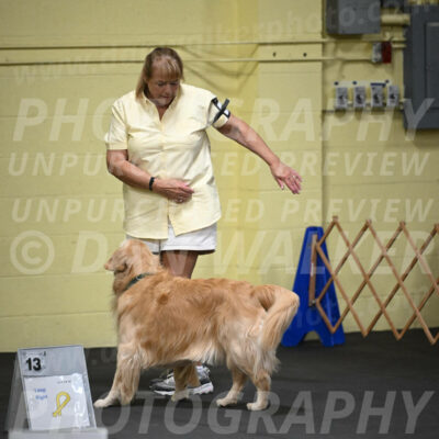 SAT818_0026