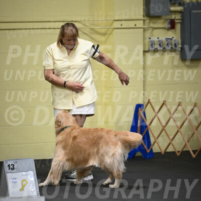 SAT818_0027