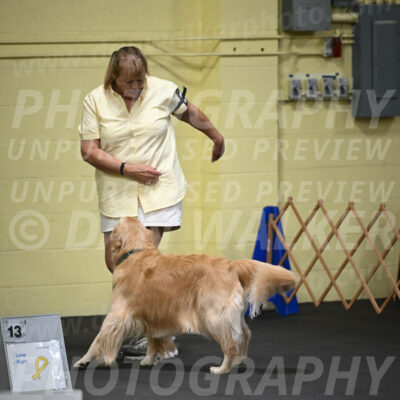 SAT818_0028