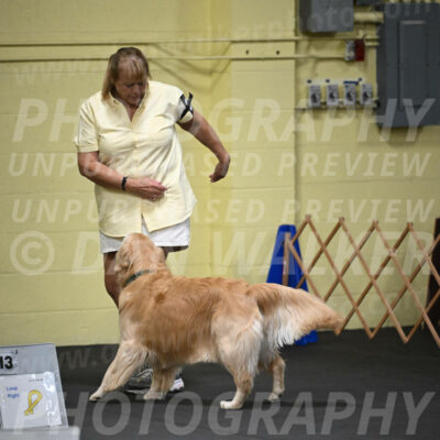 SAT818_0029