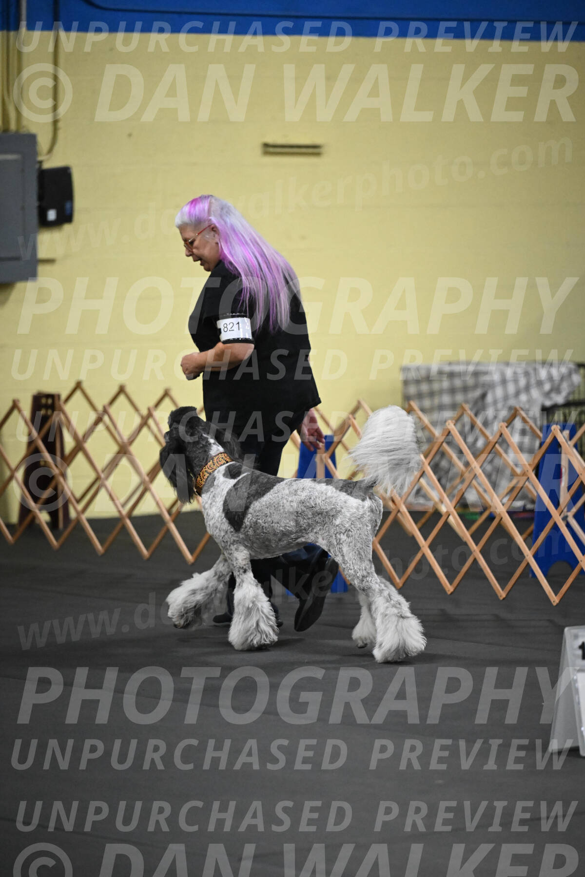 SAT821_0007
